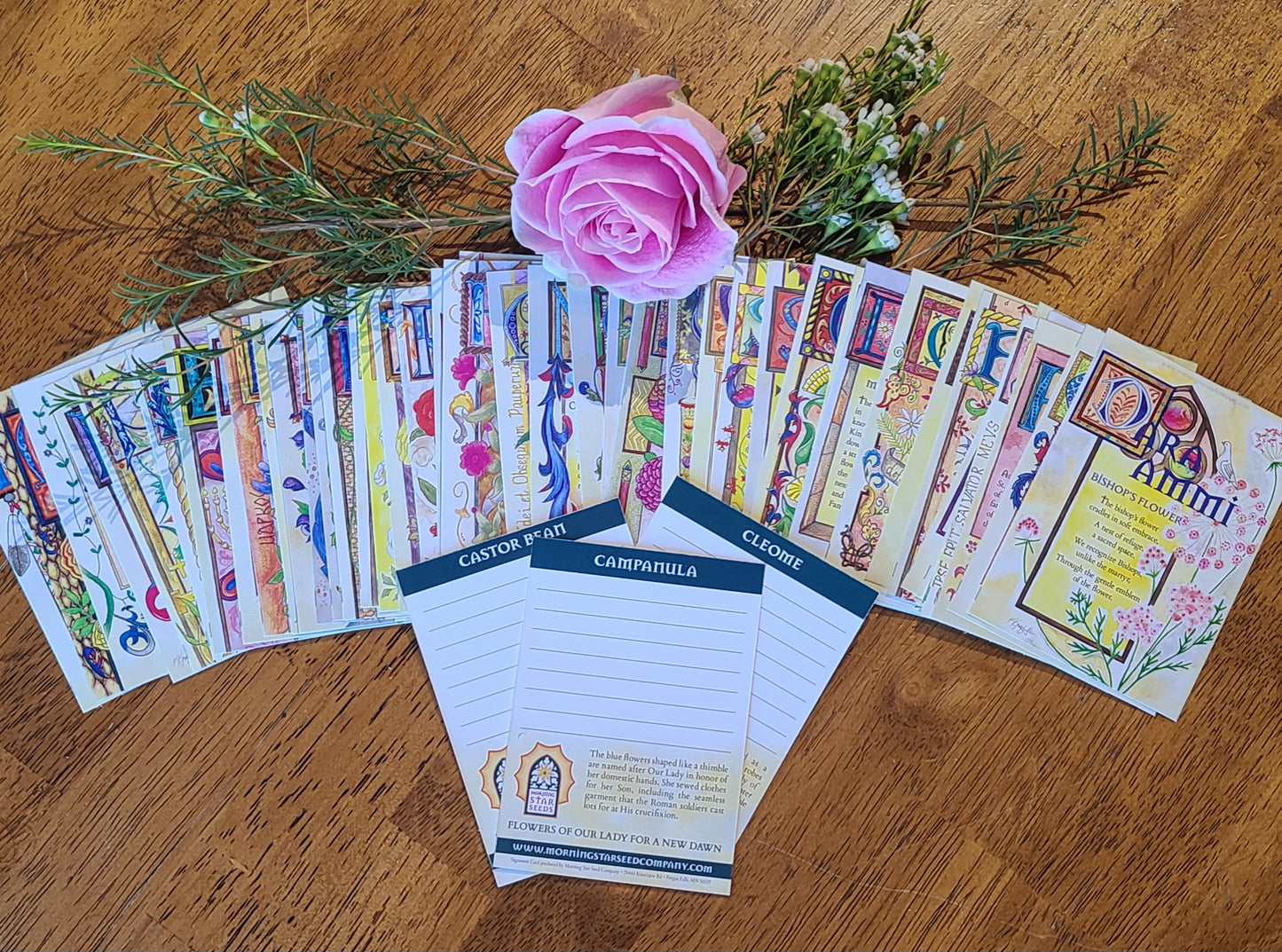 Signature Cards