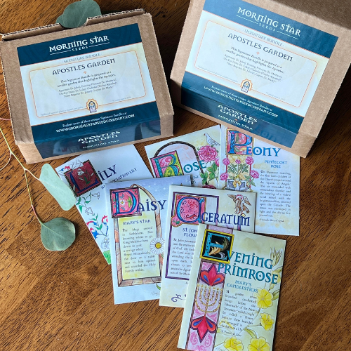 Apostles Garden Bundle