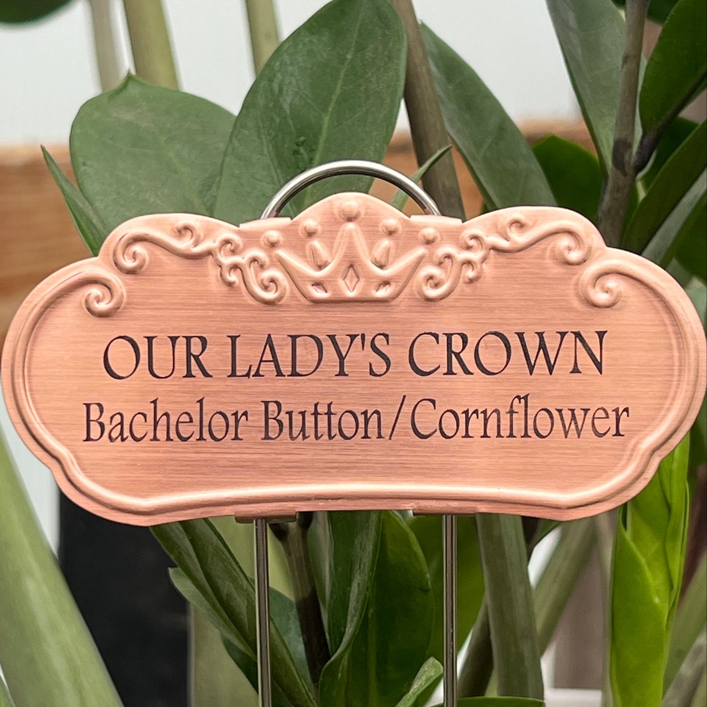 Our Lady's Crown