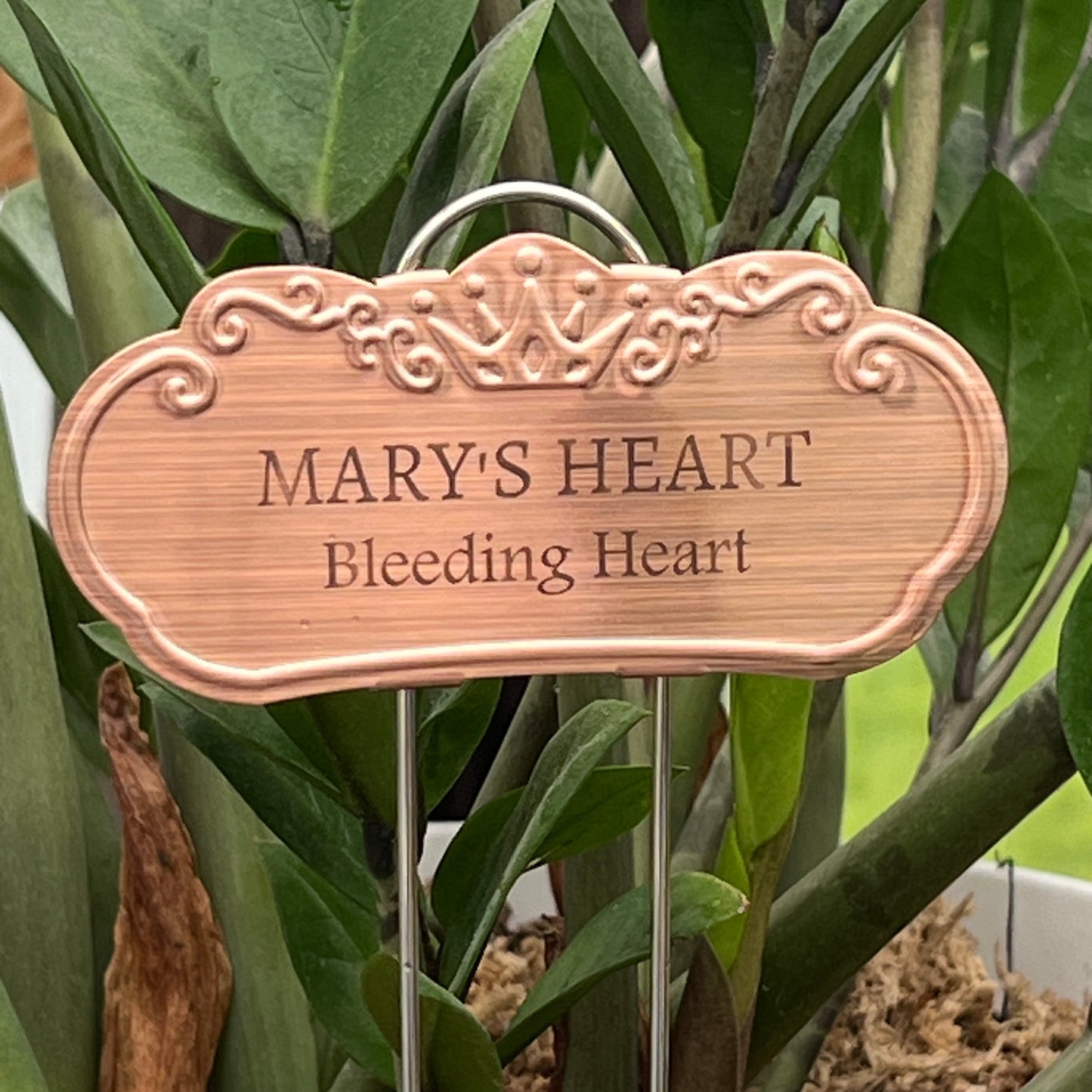 Mary's Heart