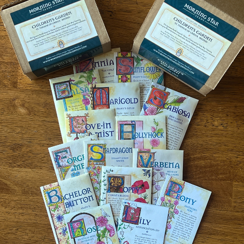 Children's Garden Medius Bundle