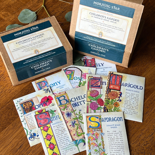 Children's Garden Bundle - Parvus