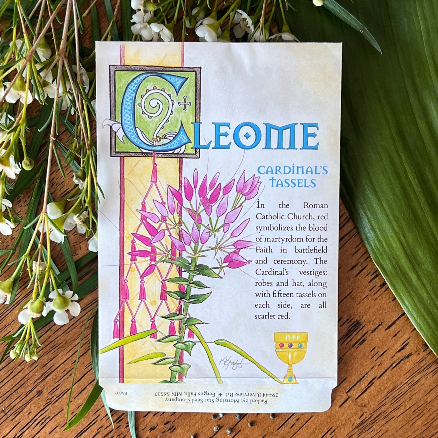 Cleome