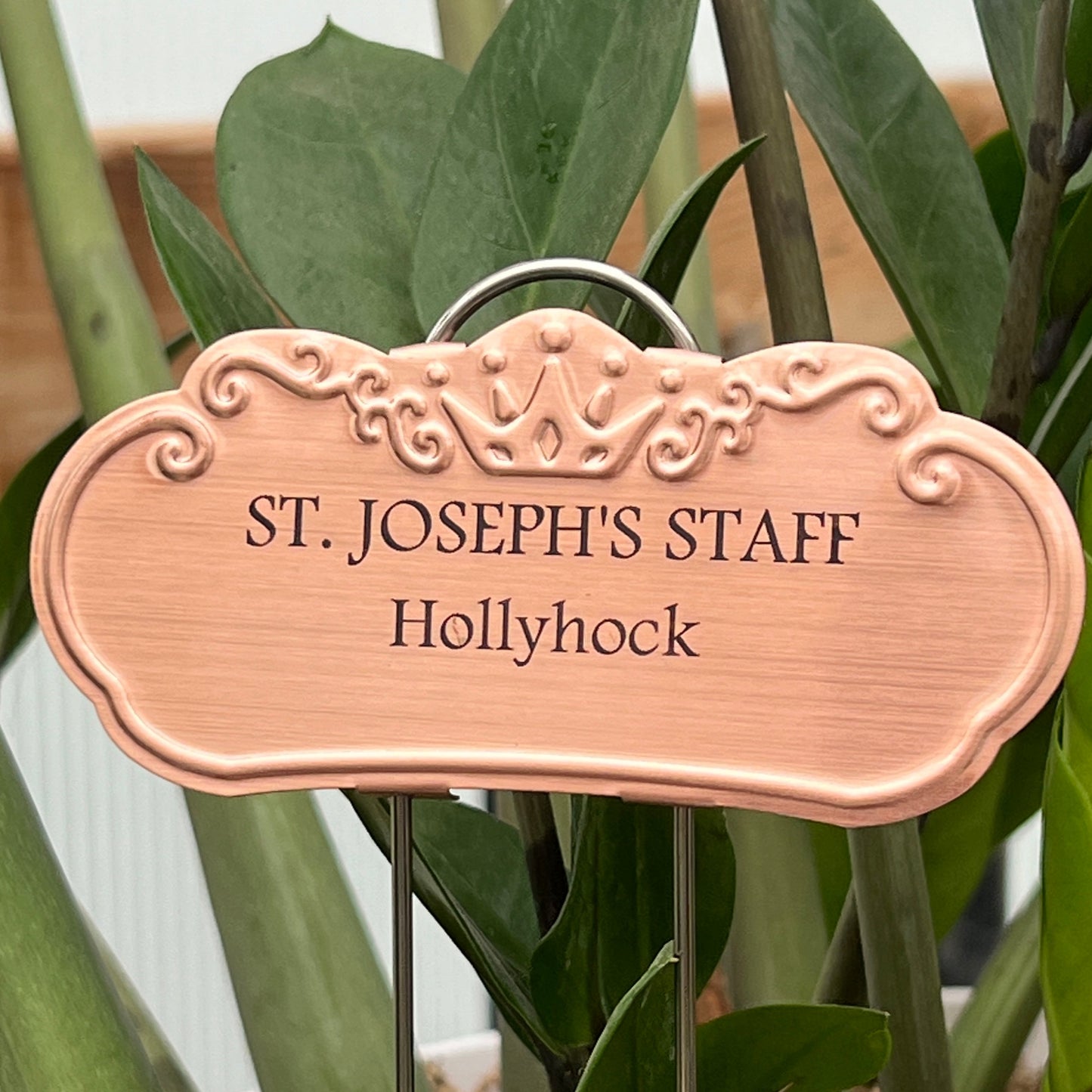 St. Joseph's Staff