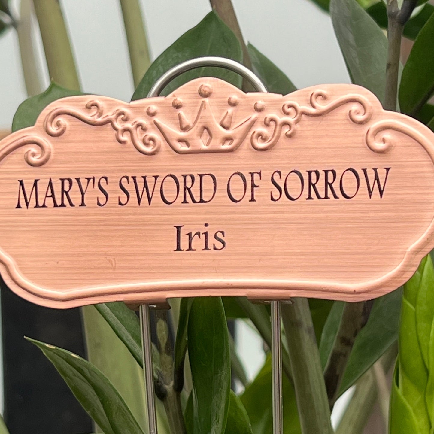 Mary's Sword of Sorrow