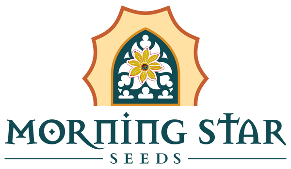 Morning Star Seed Company
