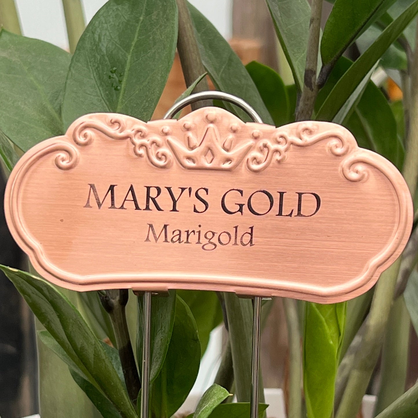 Mary's Gold