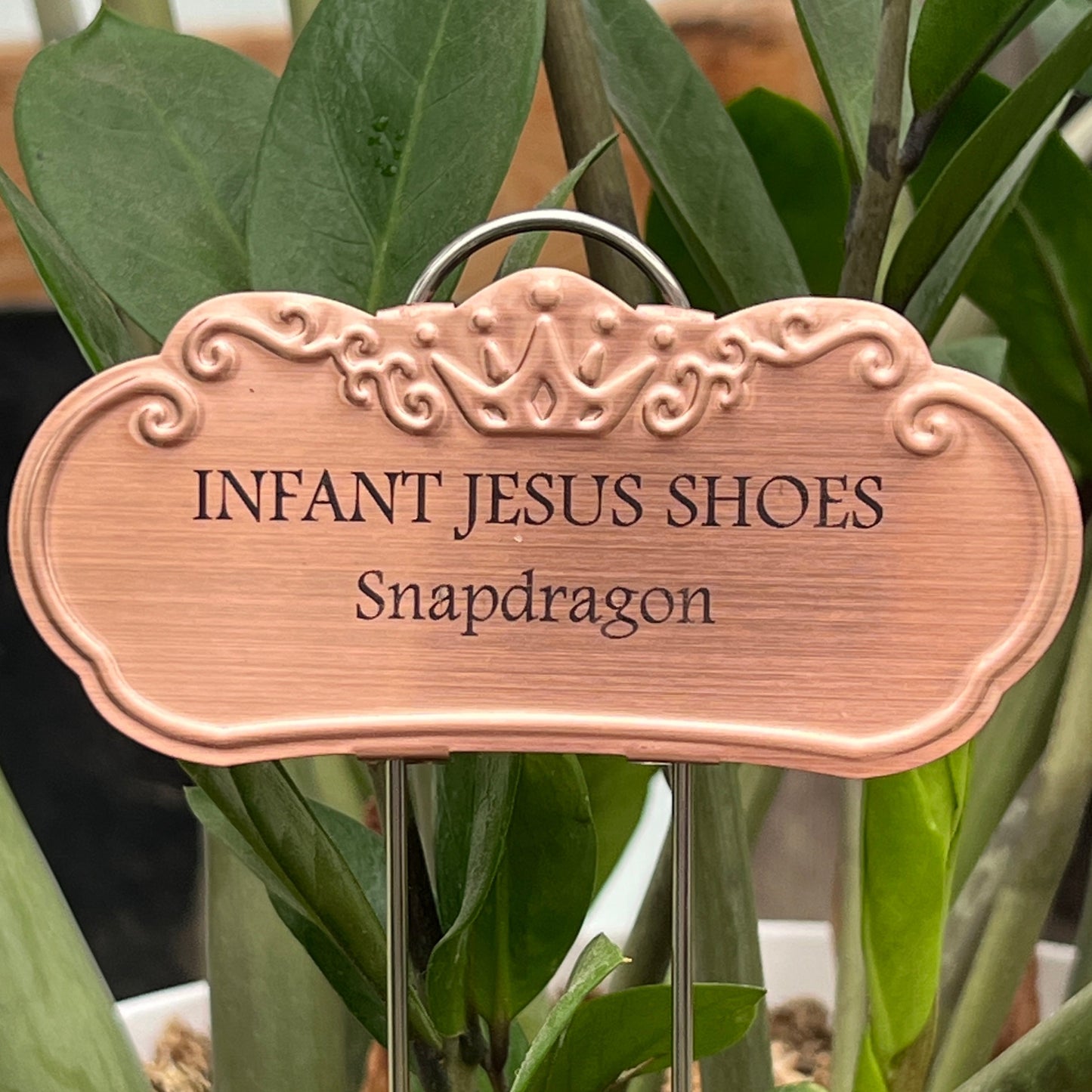 Infant Jesus Shoes