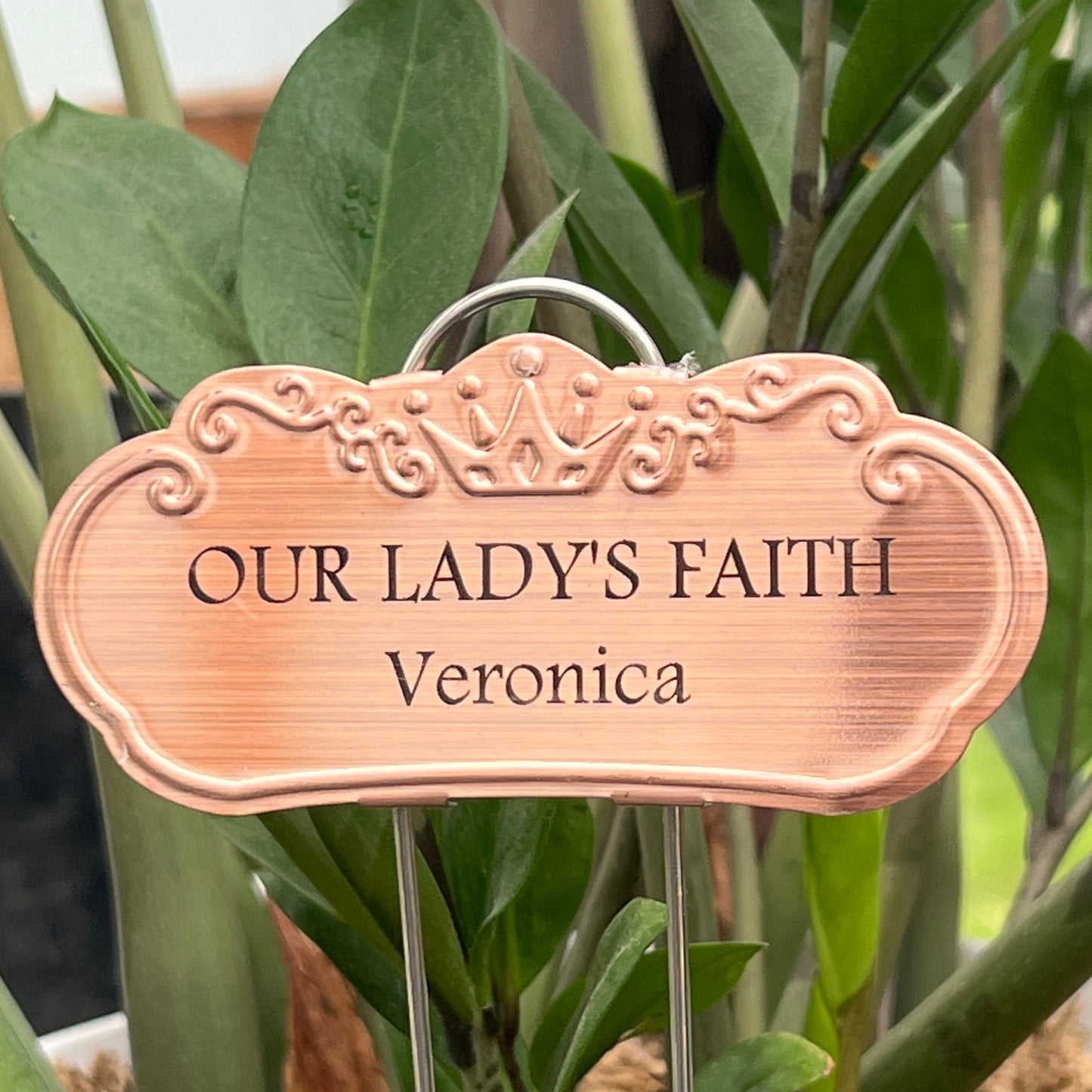 Our Lady's Faith