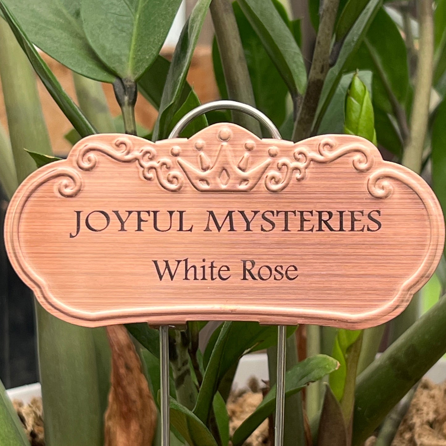 Joyful Mysteries
