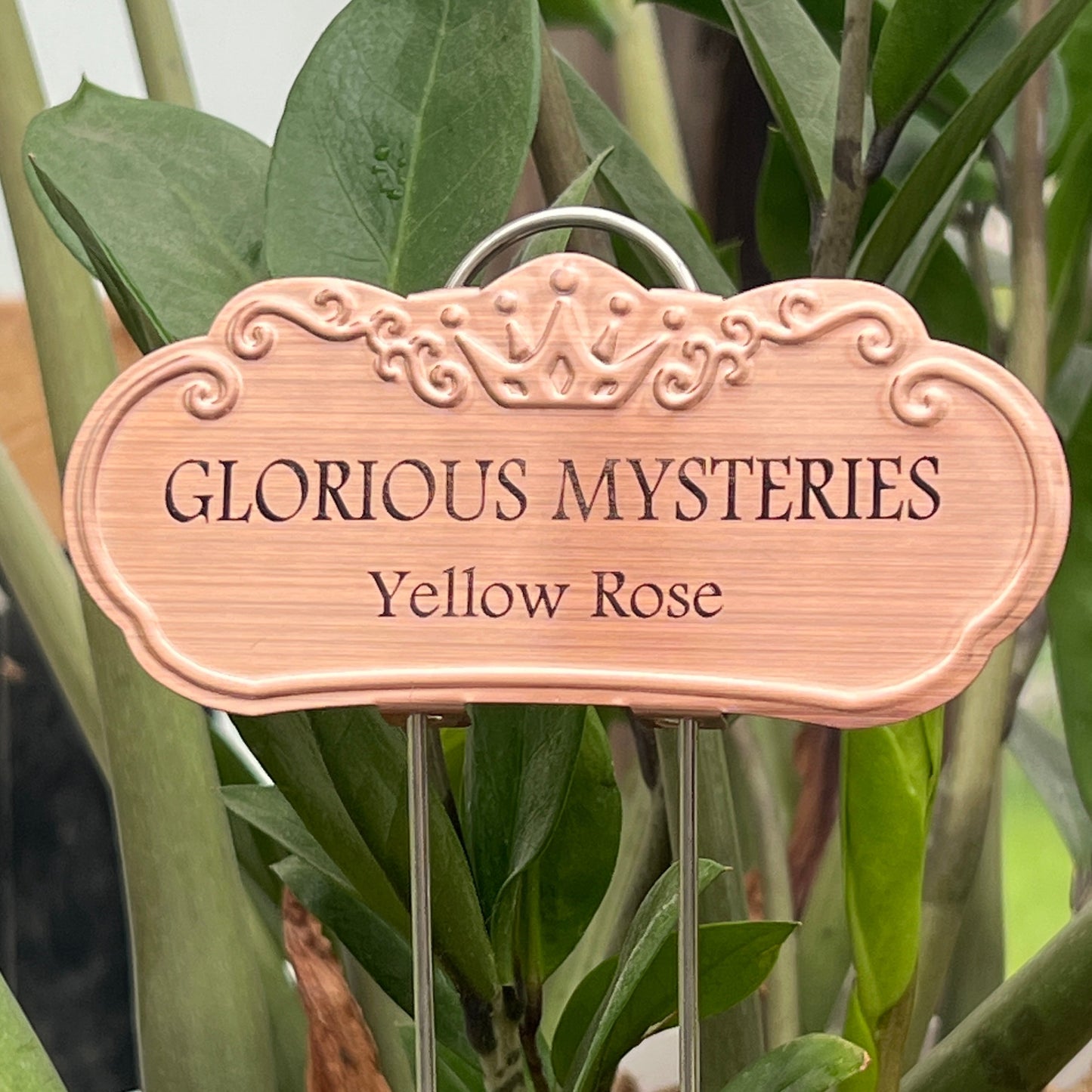 Glorious Mysteries