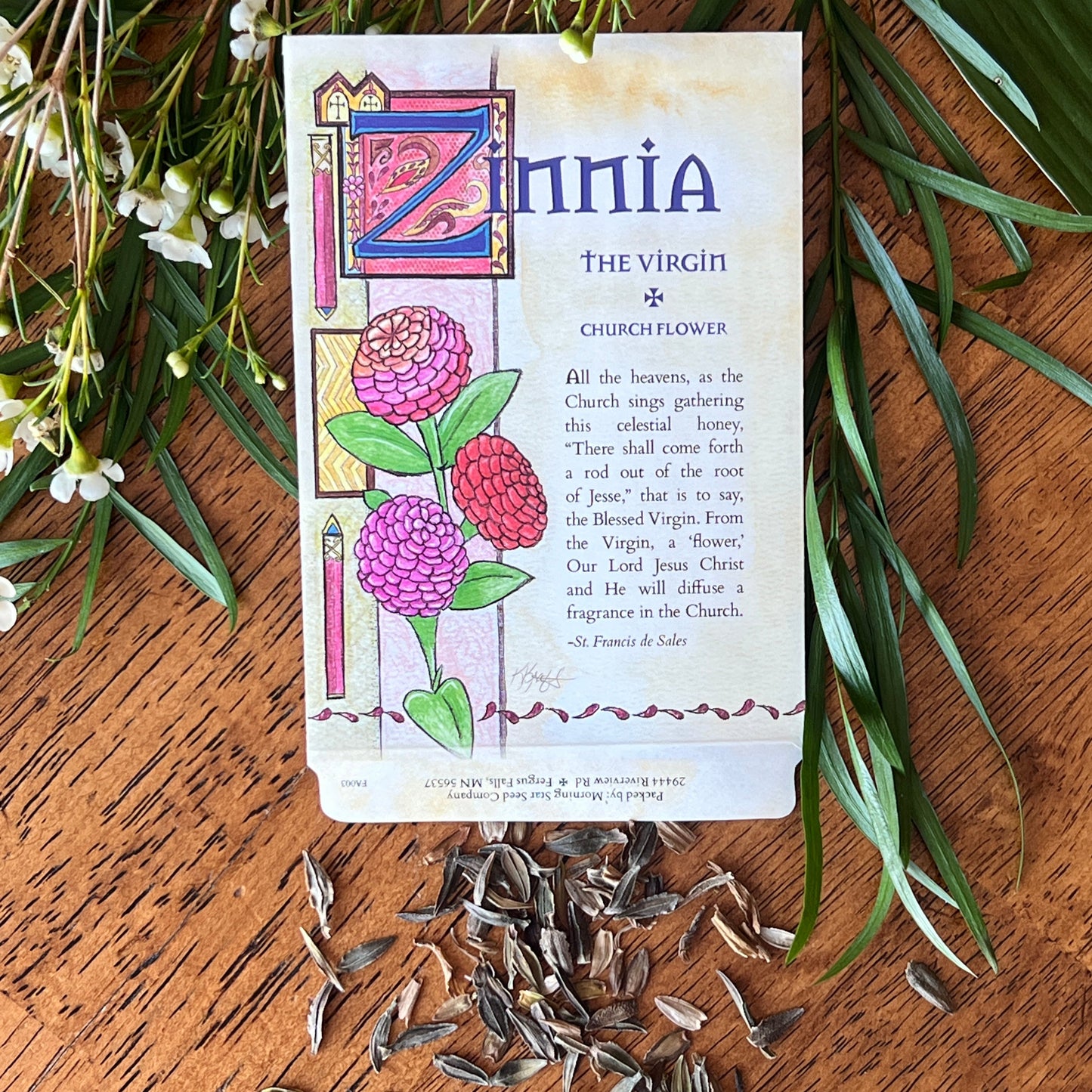 Zinnia