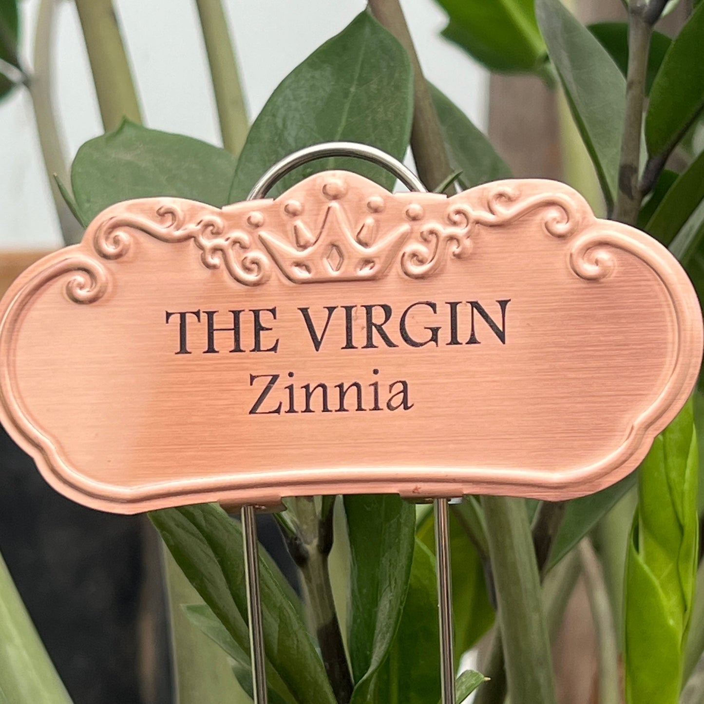 The Virgin