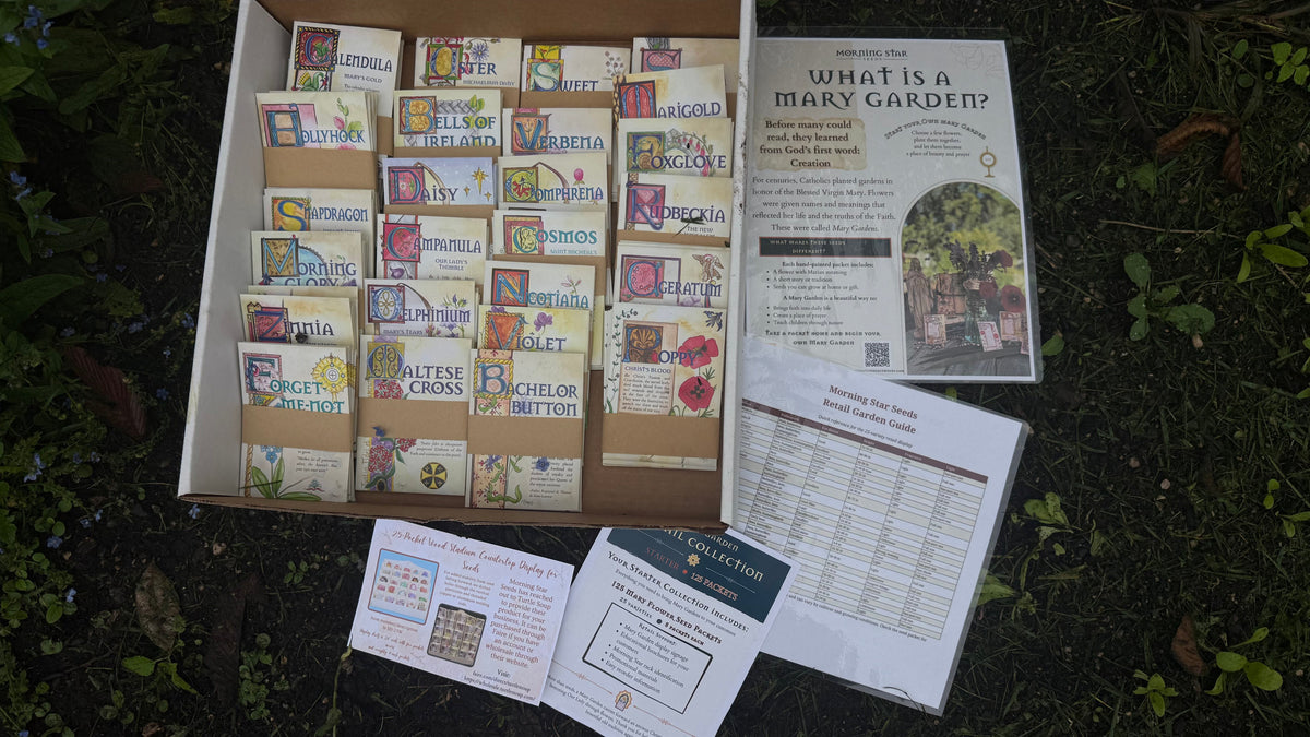 Complete Seed Collection — 250 packets