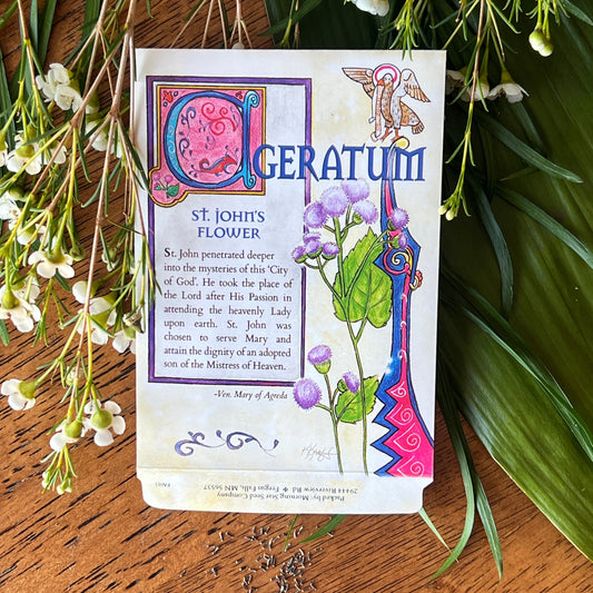 Ageratum