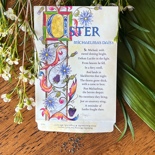 Aster Seed Packet