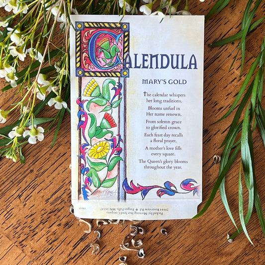 Calendula