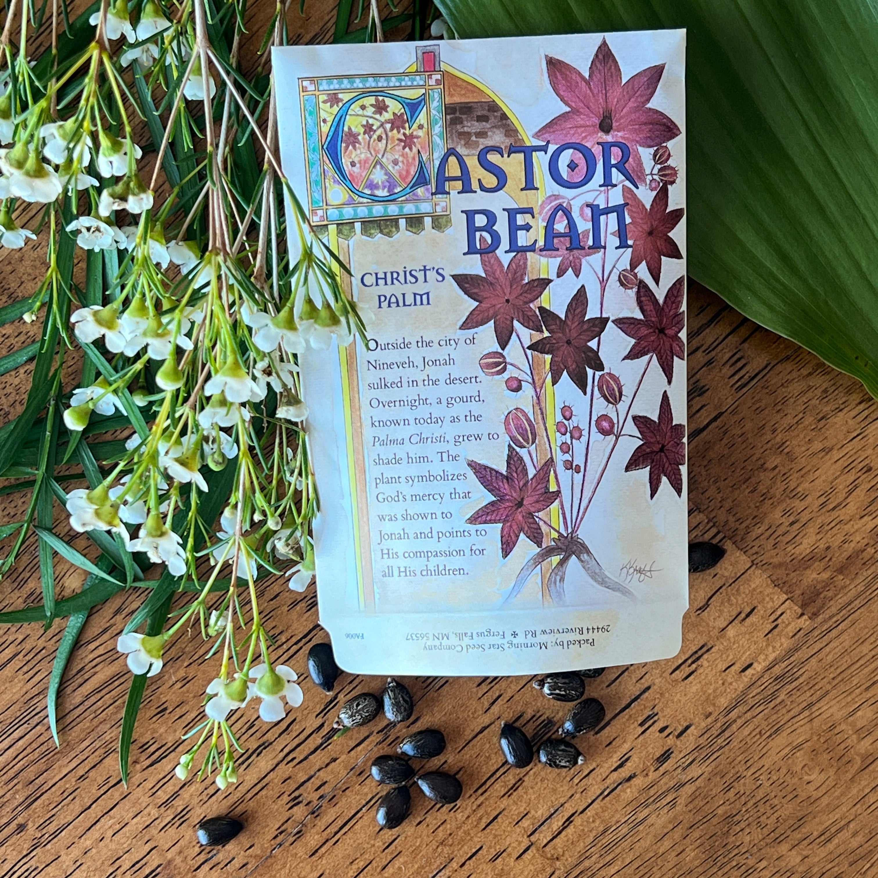 Castor Neans Castor Bean- New Zealand Purple – Morning Star Seed Company