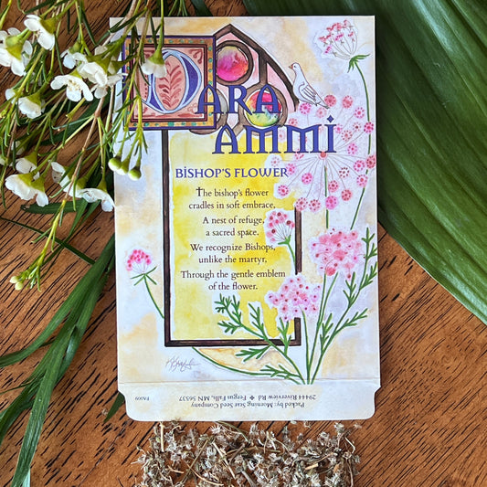 Dara Ammi