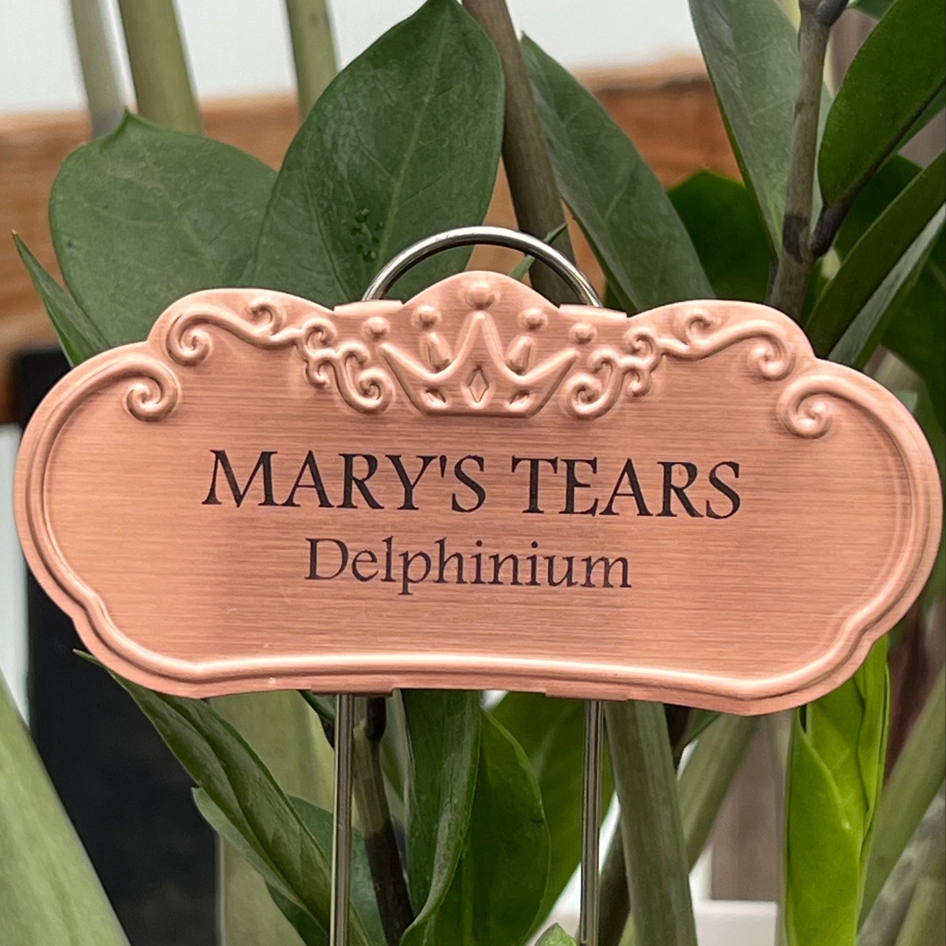 Mary's Tears