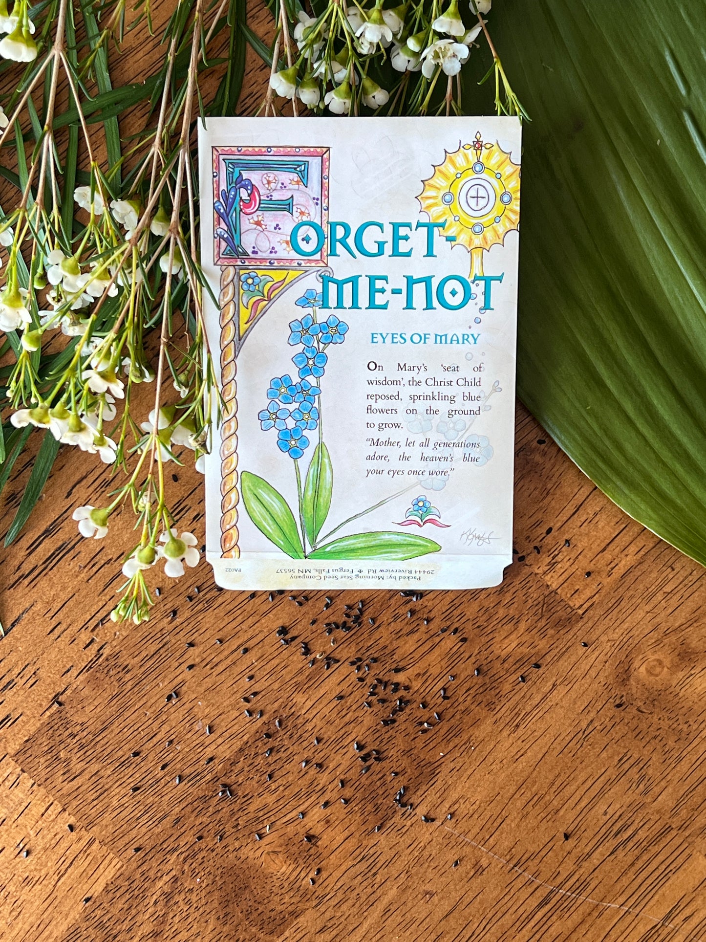 Chinese Forget-me-nots
