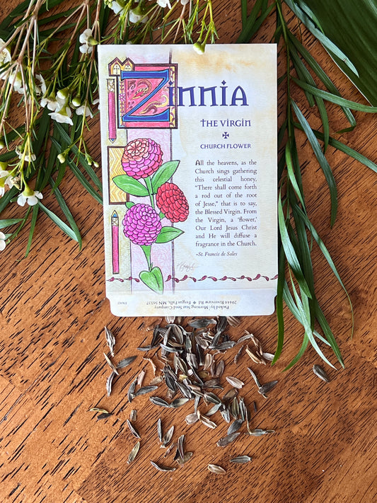 Zinnia 'Aztec Sunset'