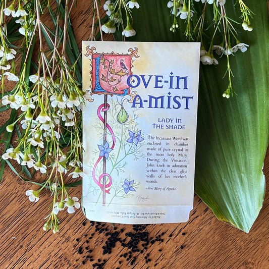 Love in a Mist