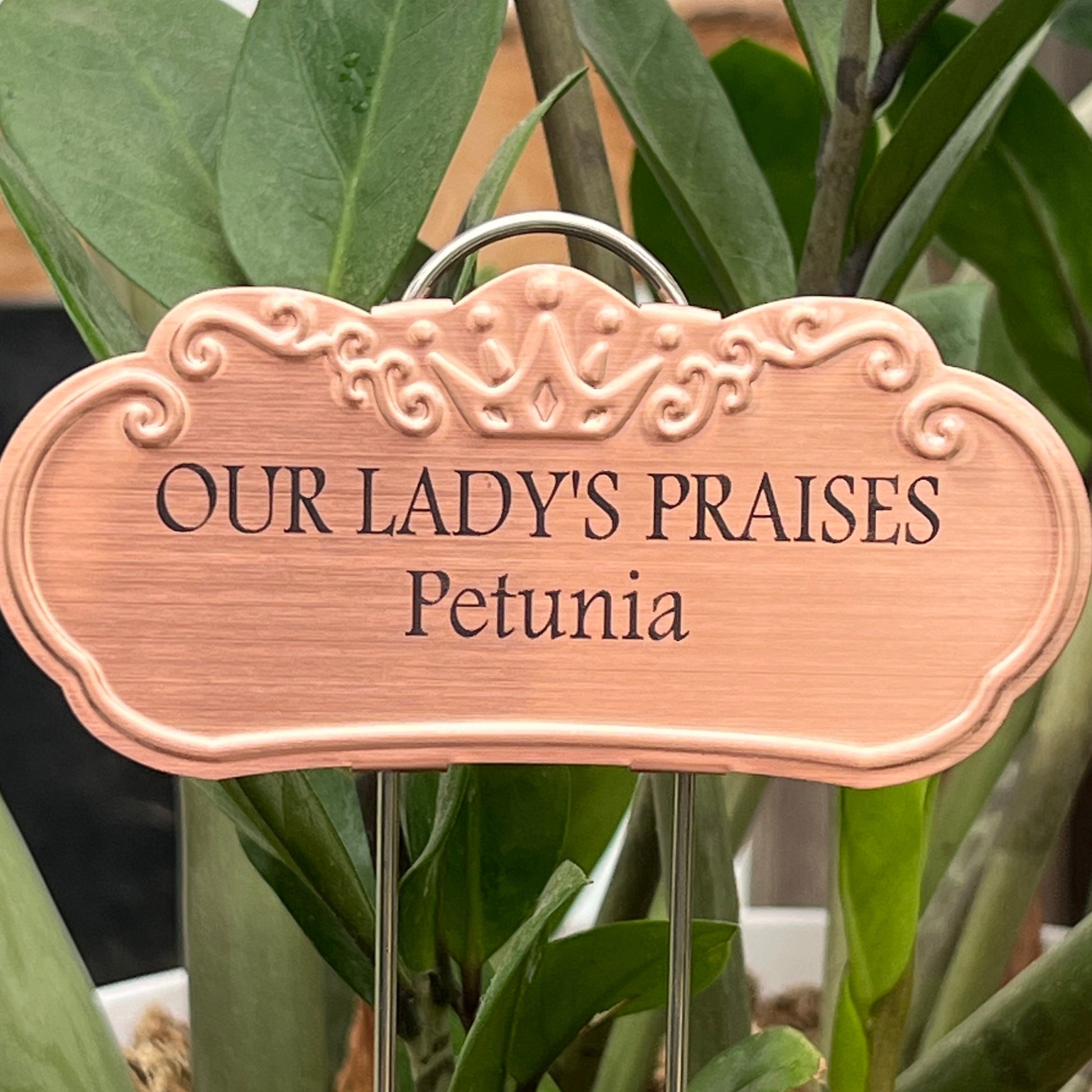Our Lady's Praises