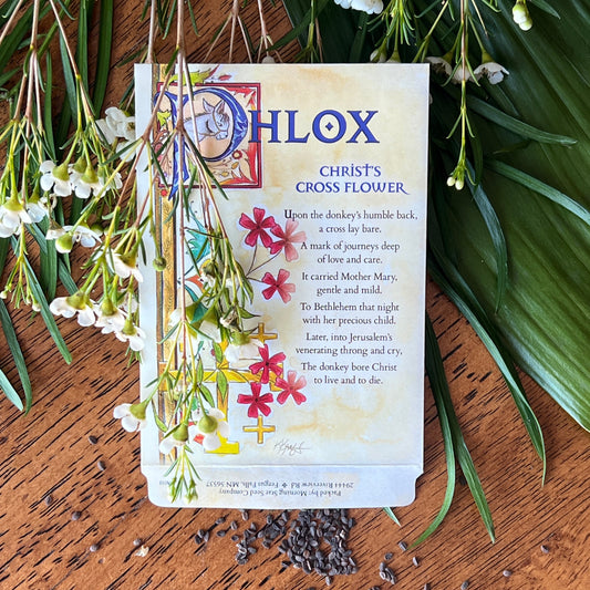 Phlox