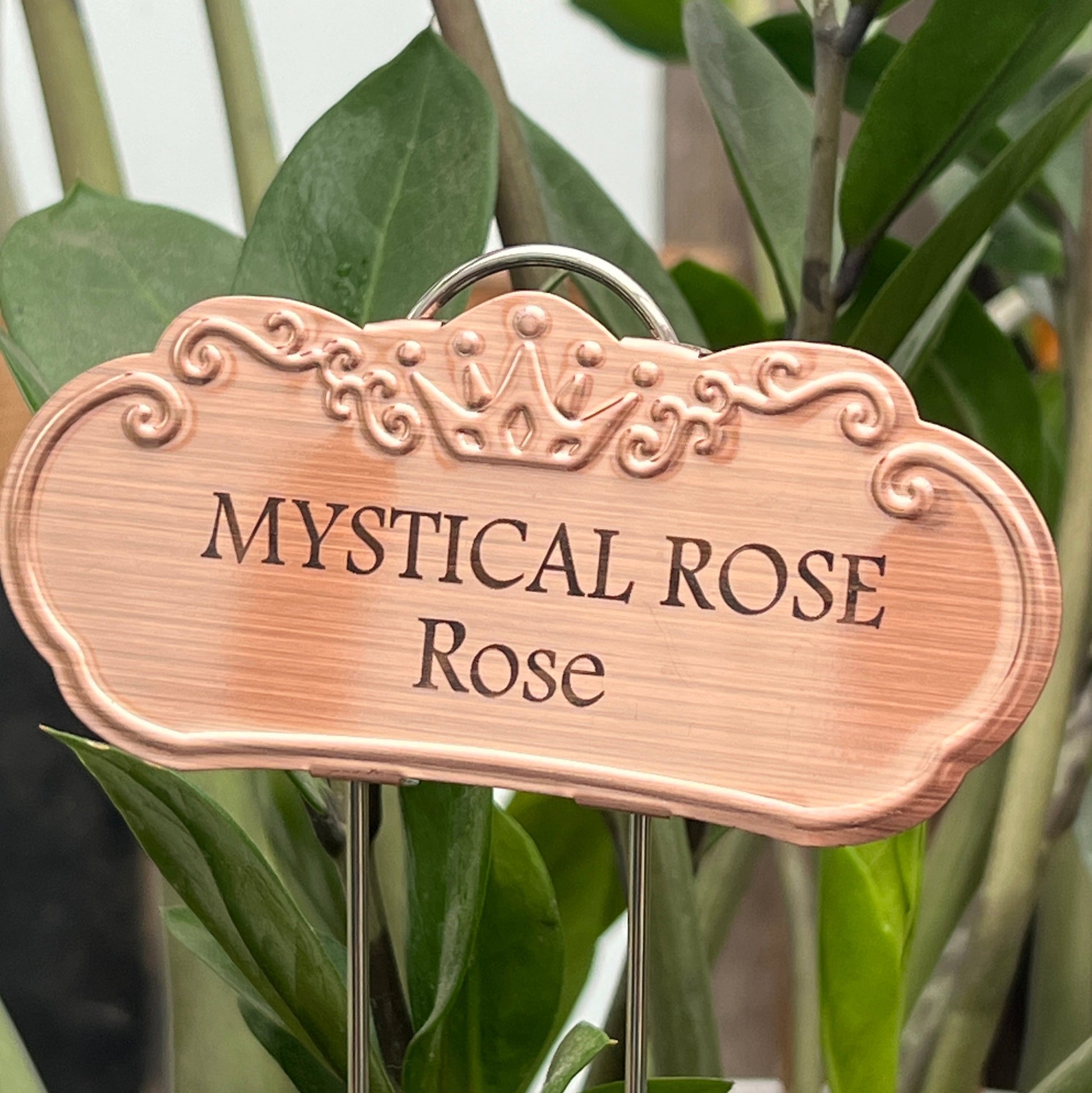 Mystical Rose