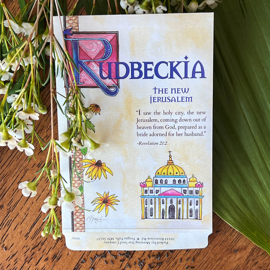 Rudbeckia