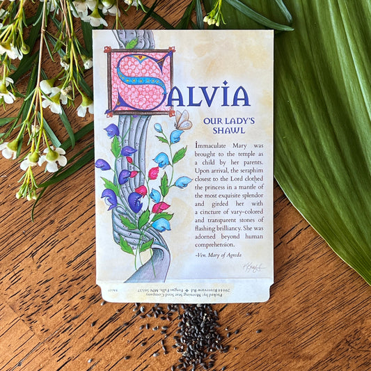 Salvia
