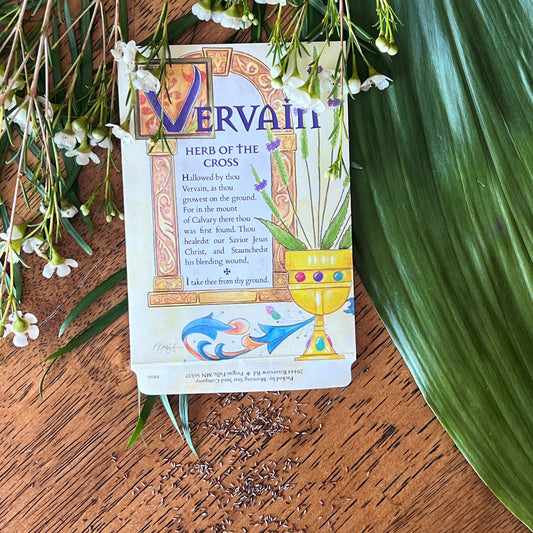Vervain