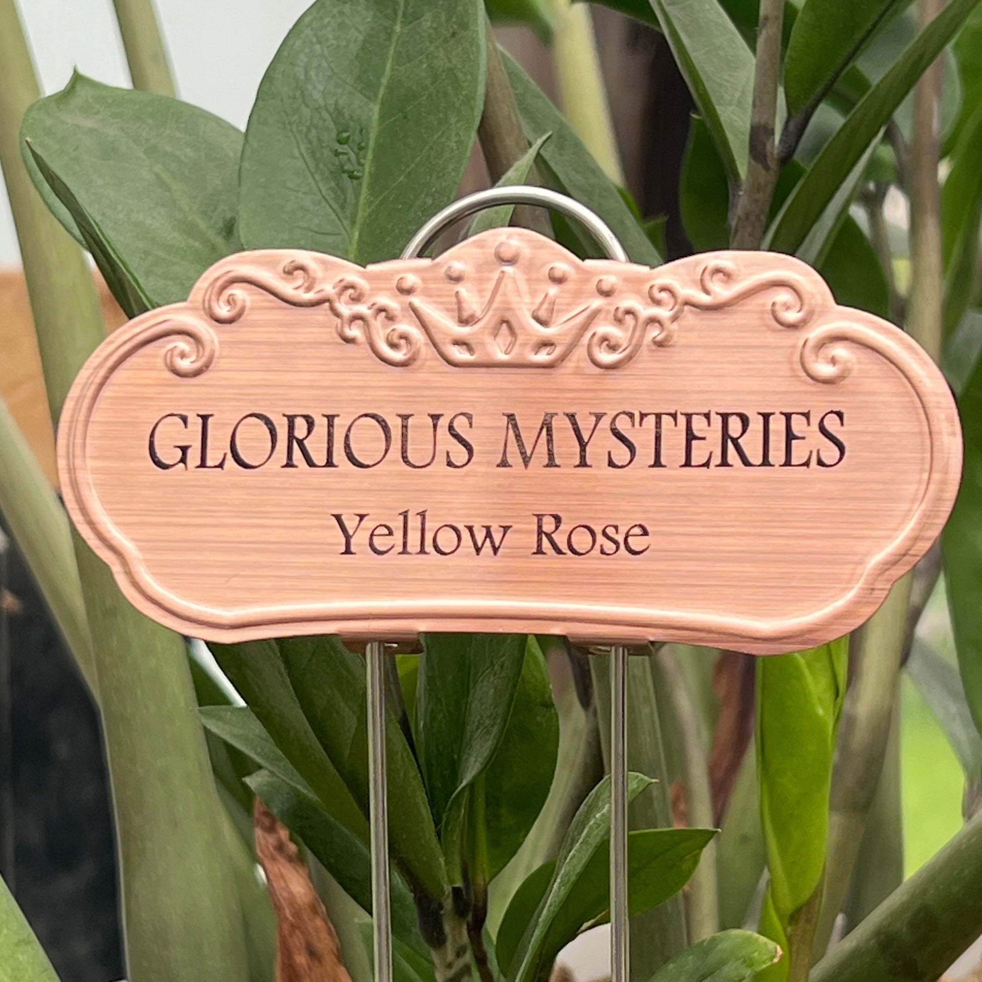 Glorious Mysteries